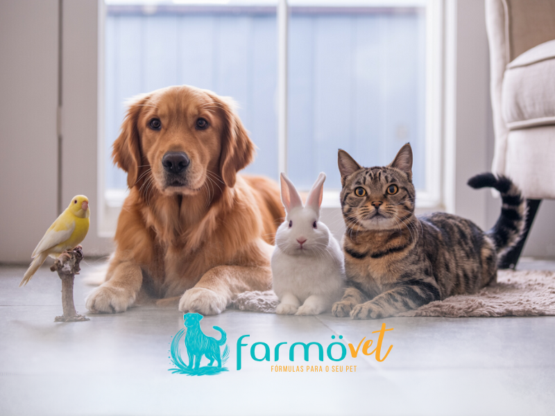 FarmoVet